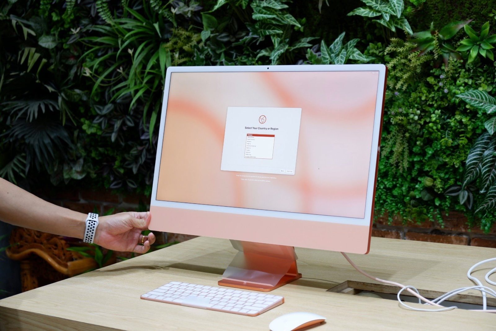 Imac Hcm