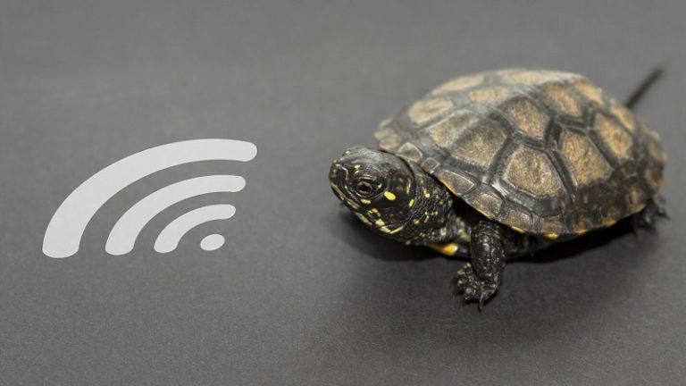 Máy Tính Bắt Wifi Kém