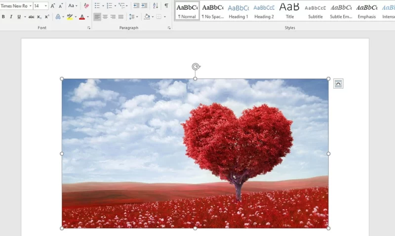 Xoay ảnh Trong Word
