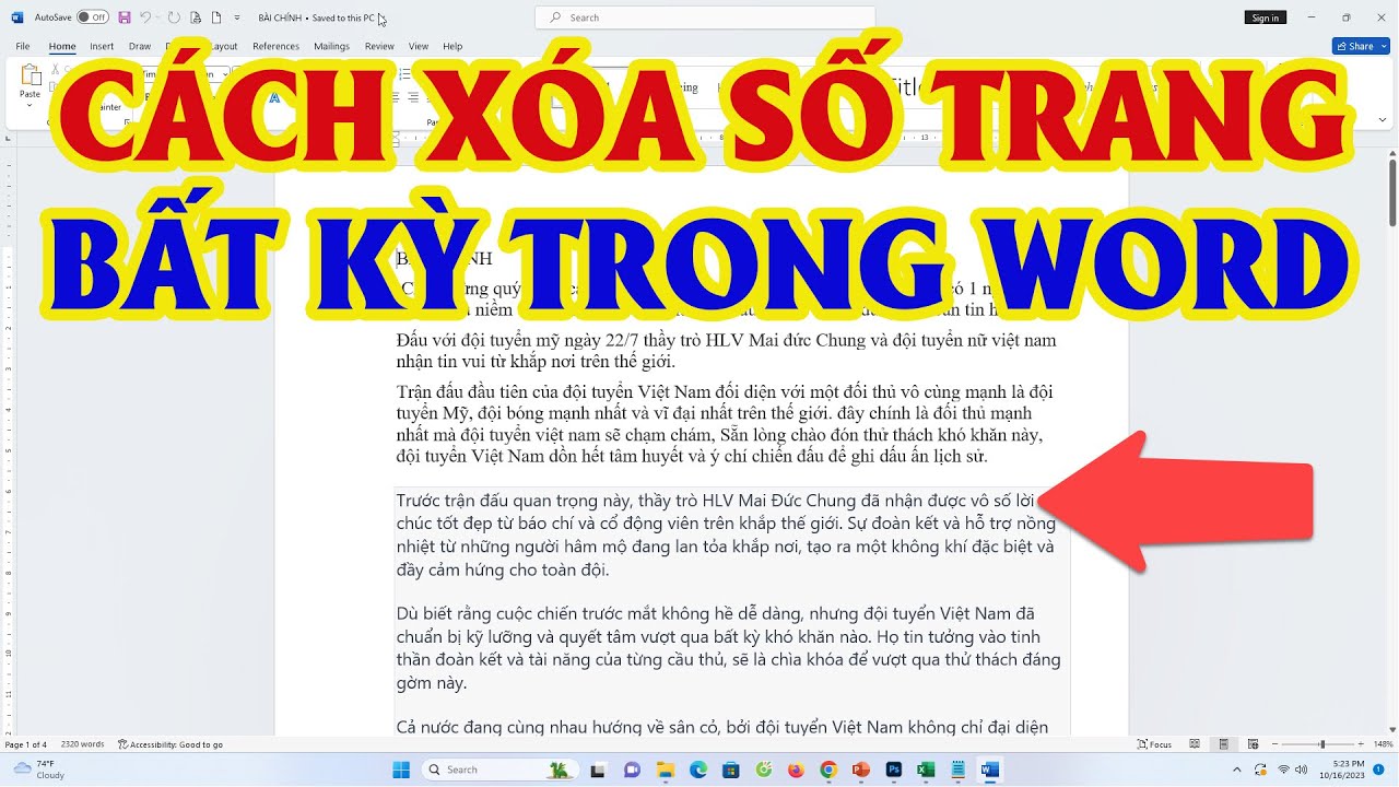 Xoá Bay Nỗi Lo Đánh Số Trang Trong Word: Từ A - Z Cho Người Việt